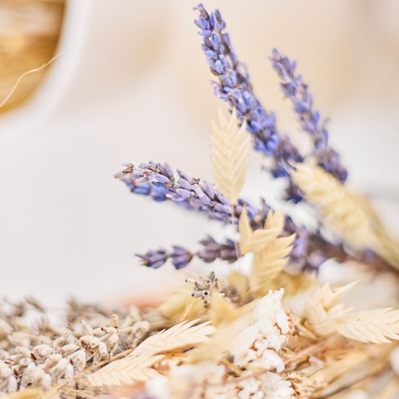 Online course Holistic Nourishment